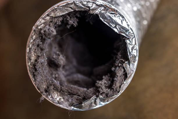 Best Ventilation Cleaning Services  in Farmville, VA